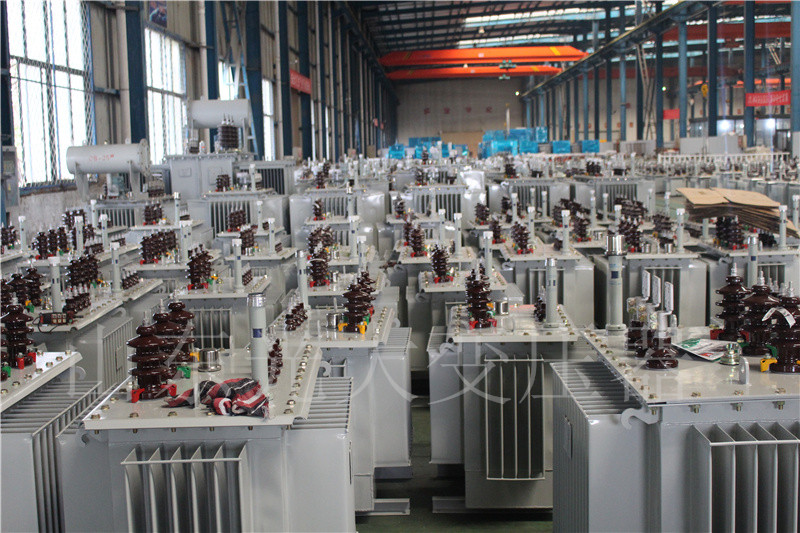 拉萨S22-800KVA/10KV